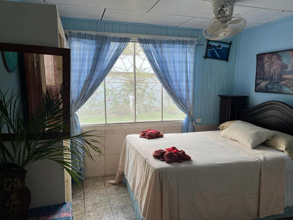 Hotel Margarita Sierpe Ngoại thất bức ảnh